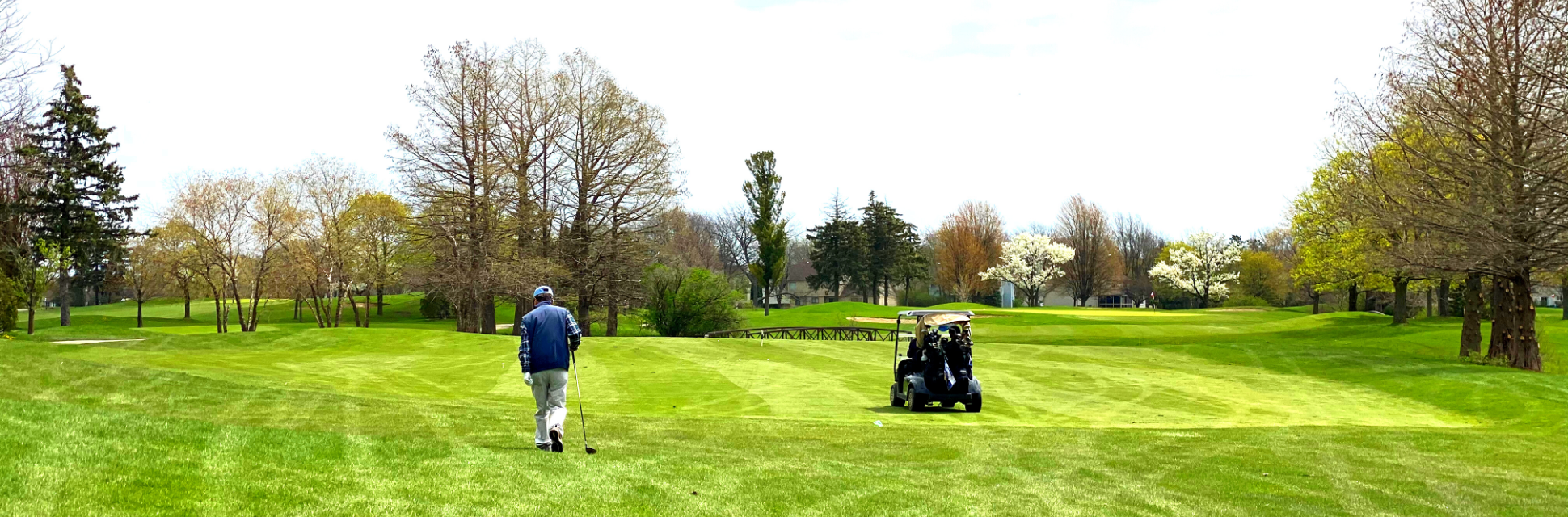 view of golf course