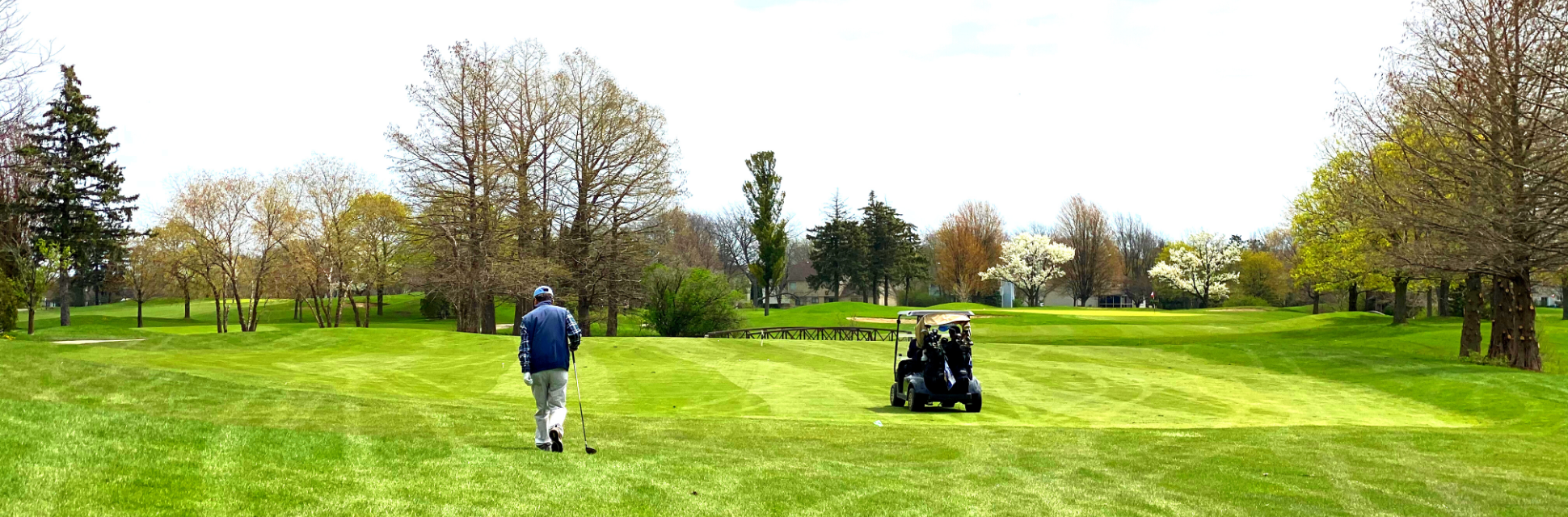 view of golf course 